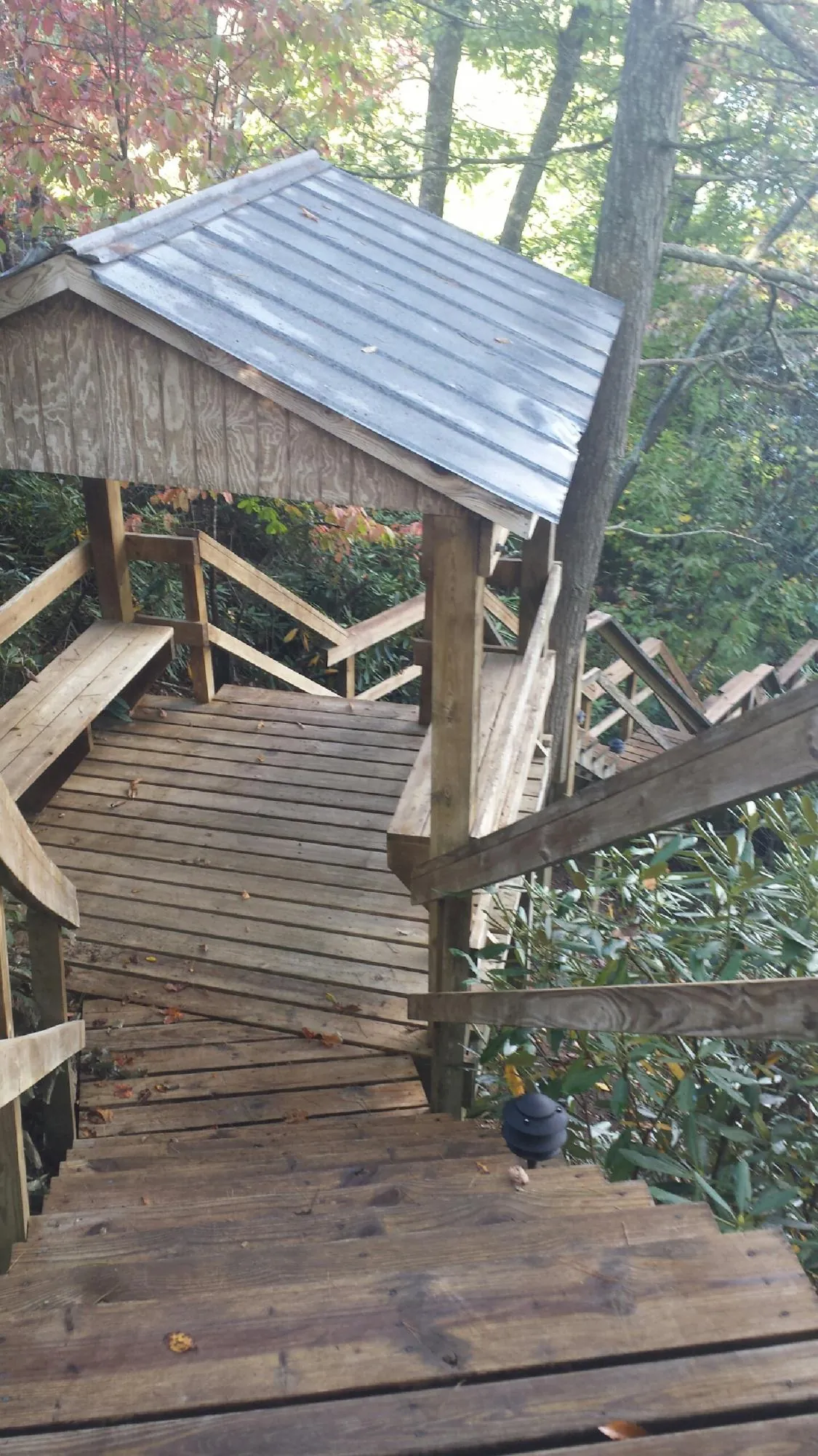 Metal roofed shelter over wooden steps on a wooded walkway — Skylight Repair & Installation work by our crew in Bonneau